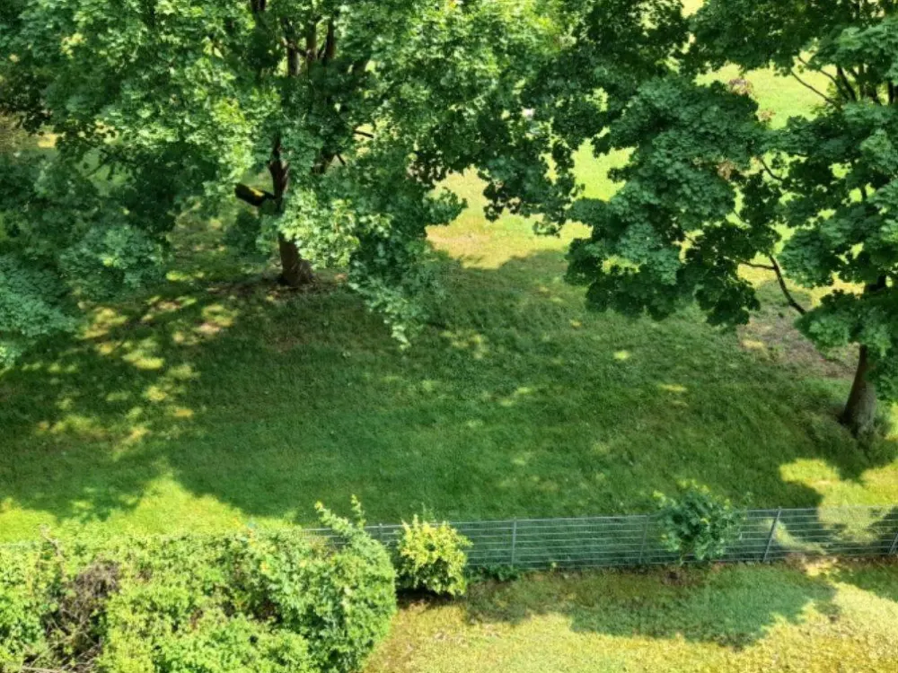 Helle 1-Zi-Wohnung mit Balkon & Blick ins Grüne in Hanau-Wolfgang