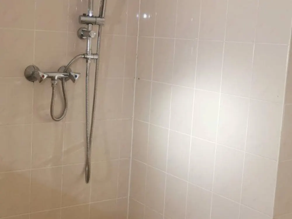 renovierte 3 Zimmerwoohnung mit Garten