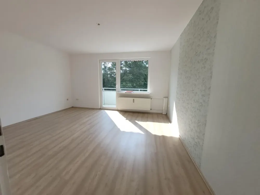 *frisch renovierte 3,5 Zimmer Wohnung mit Balkon in Hofstede*