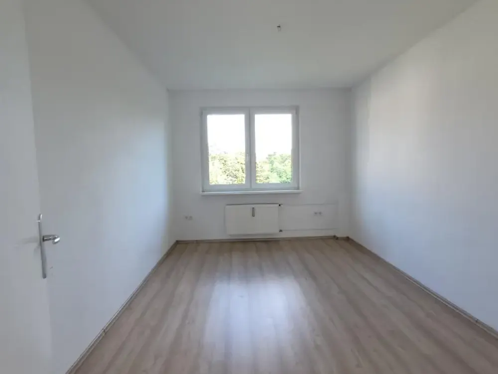 *frisch renovierte 3,5 Zimmer Wohnung mit Balkon in Hofstede*