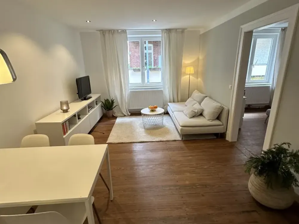 NEW! Renovated Stuttgart-West Old Building Apartment Fully Furnished