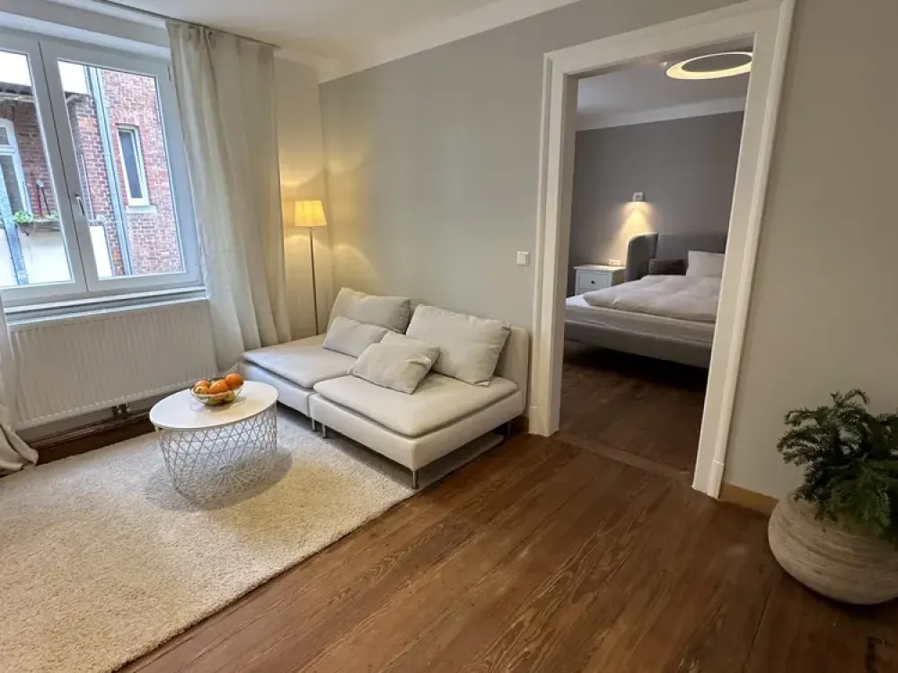 NEW! Renovated Stuttgart-West Old Building Apartment Fully Furnished