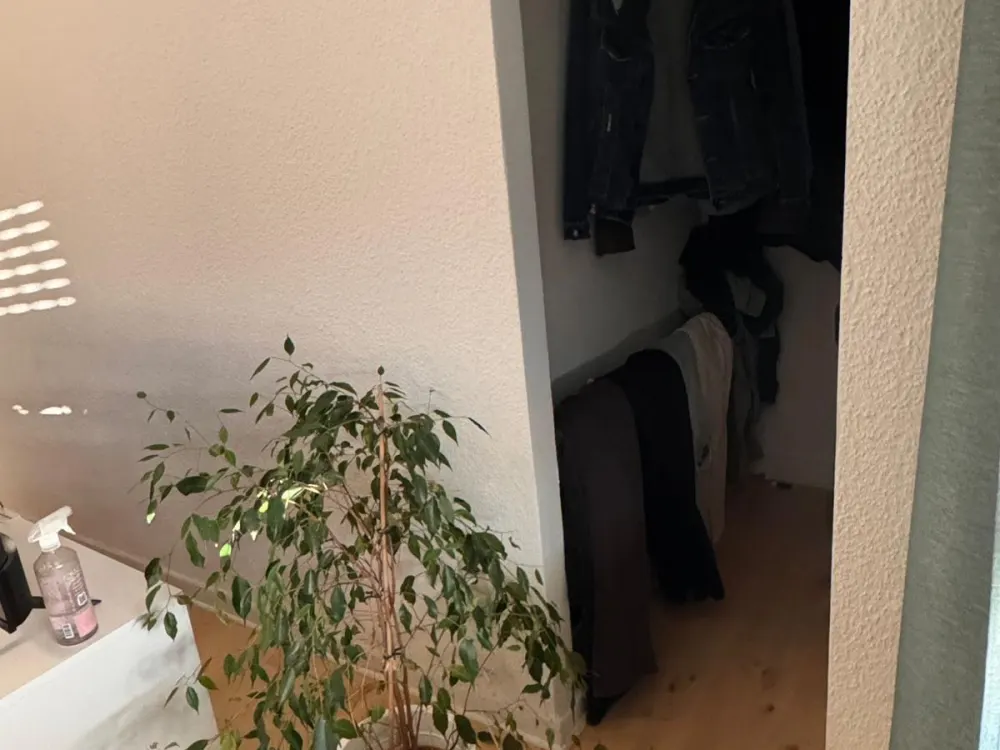 Möblierte Wohnung zu vermieten