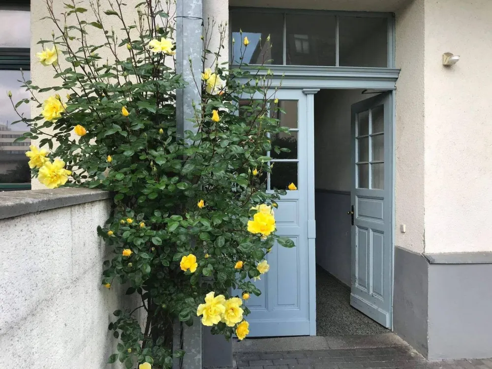 Freundliche 1 Zimmerwohnung im Leipziger Westen