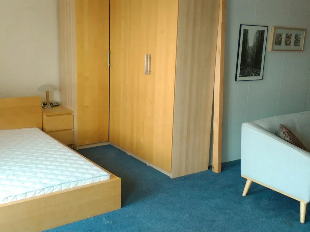 Vermiete helles 1 Zimmer Appartement in Nieder Wöllstadt