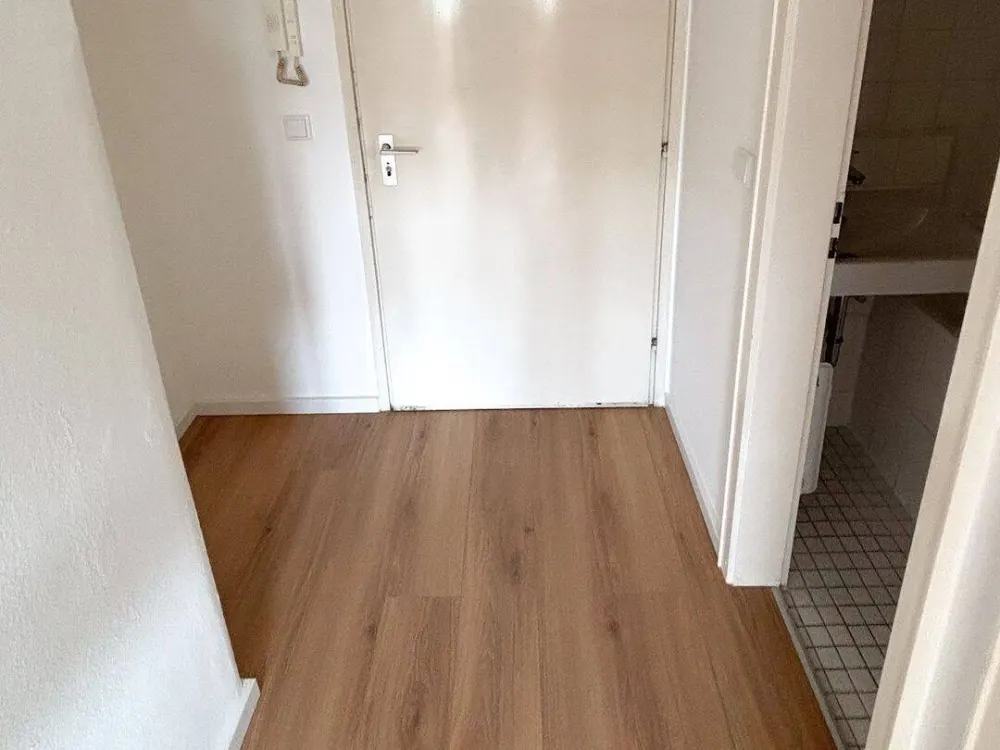 Freshly Renovated 1-Room Apartment in Obergiesing