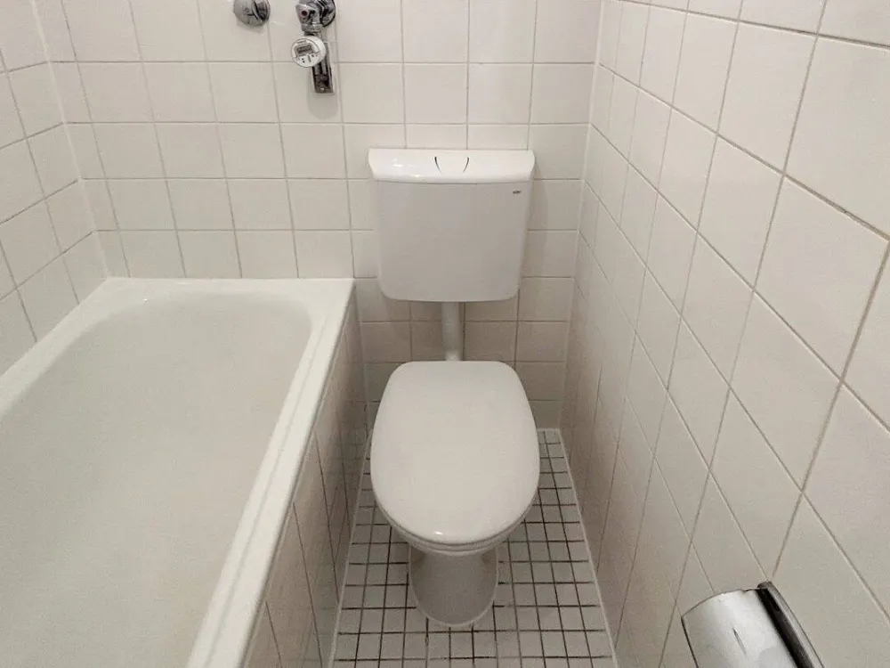 Freshly Renovated 1-Room Apartment in Obergiesing
