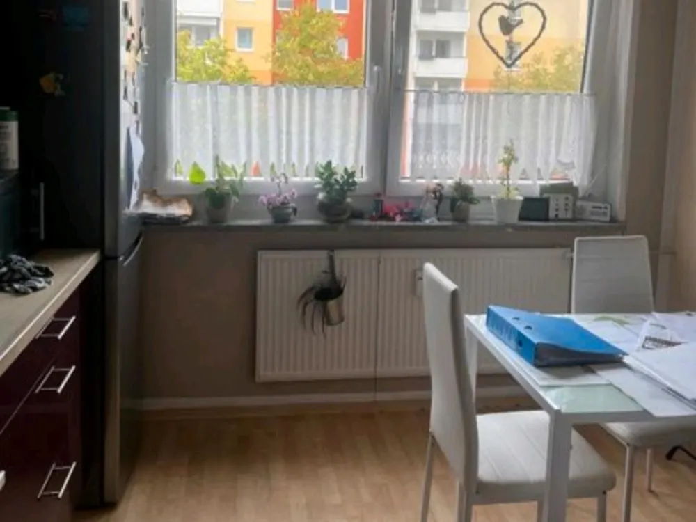 Nachmieter gesucht ab 01.11.26 4 Zimmer