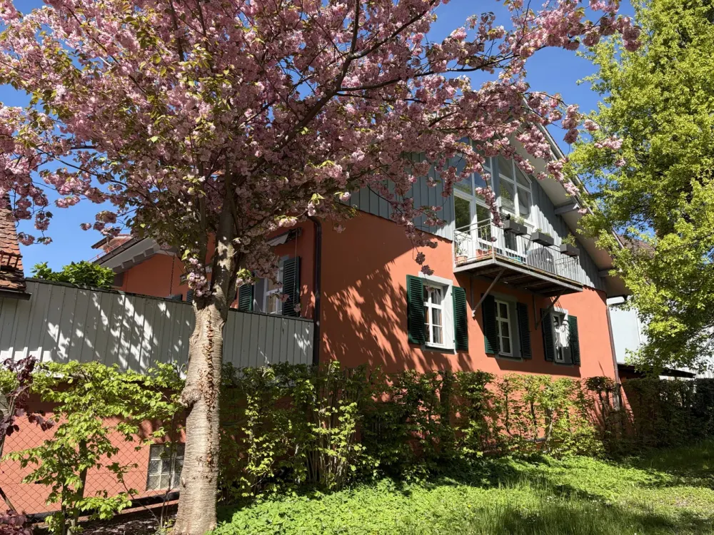 Charmante Wohnung mit Südterrasse