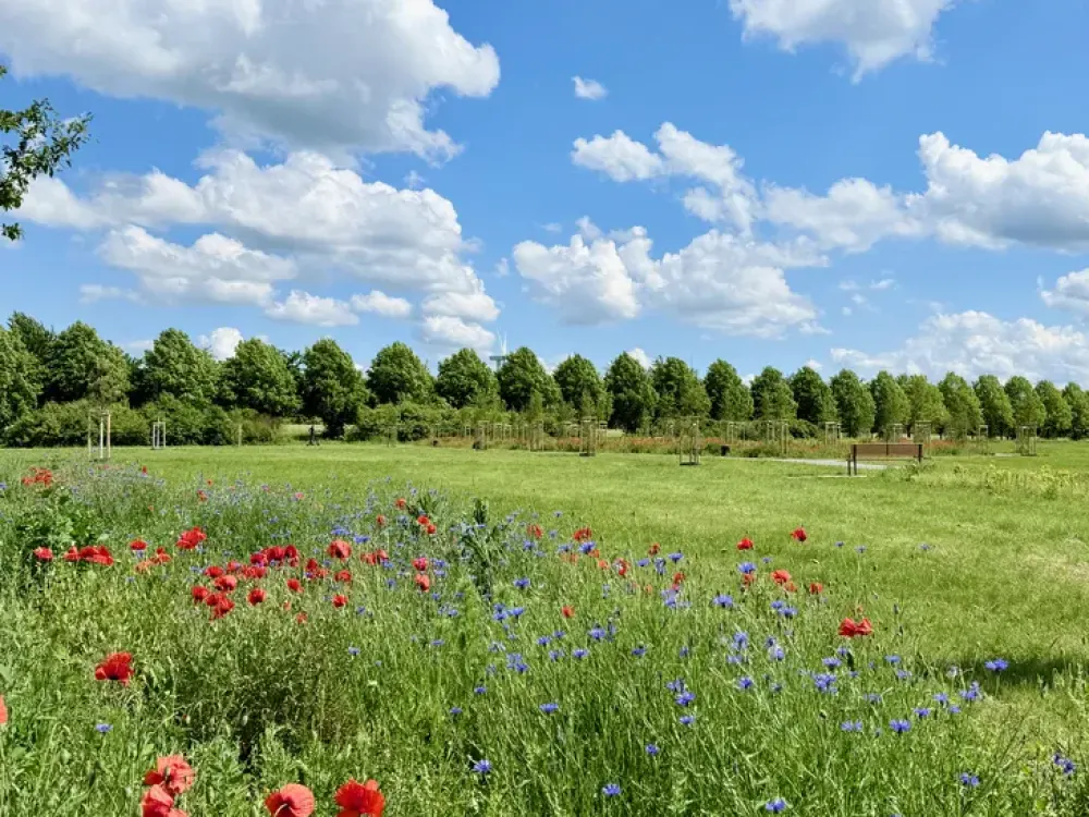 Neubau Hannover Kronsrode: Einbauküche, 2 Terrassen + Garten, 2 Bäder, Fußbodenheizung, TG, Keller