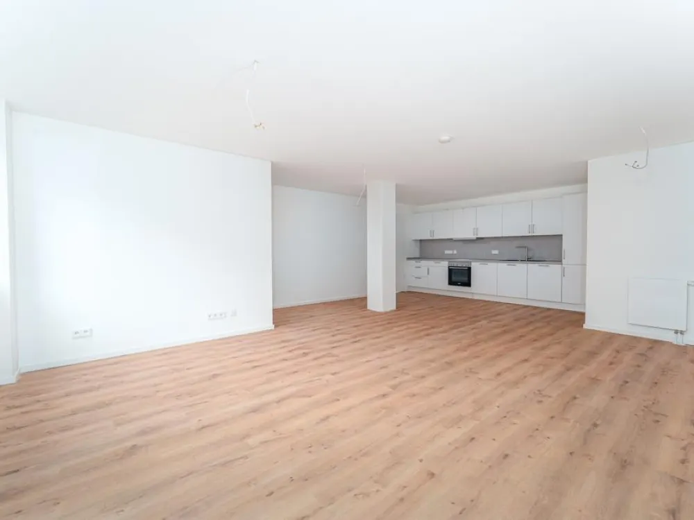 2.5-Room Apartment in Lloydhof