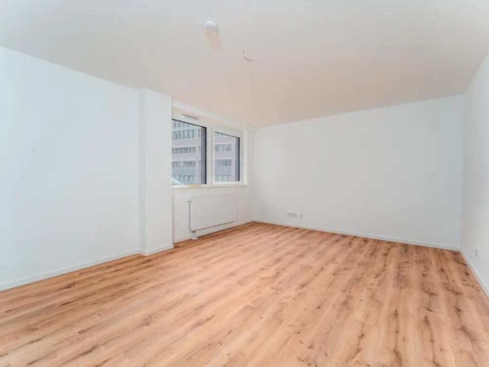2.5-Room Apartment in Lloydhof