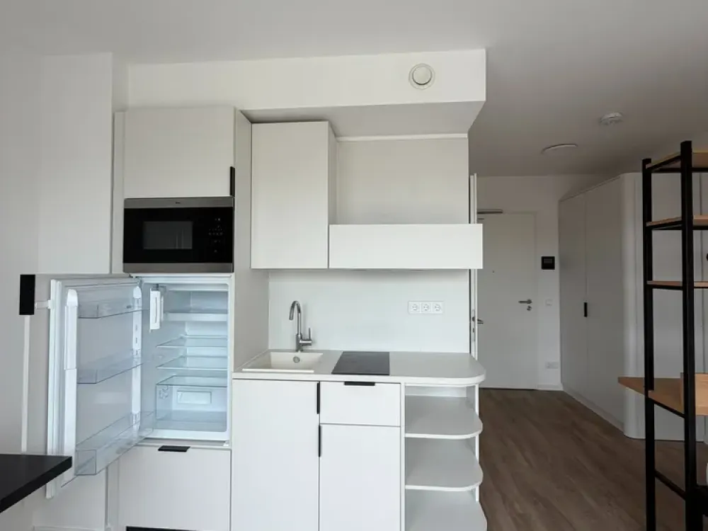 Helles 1-Zimmer-Apartment mit schönem Balkon