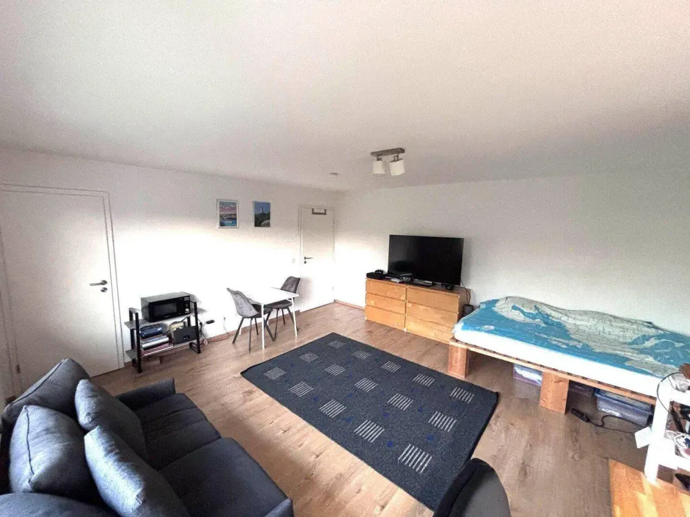 Renovierte 1-Zimmer Wohnung mit Einbauküche, Waschmaschine und Stellplatz