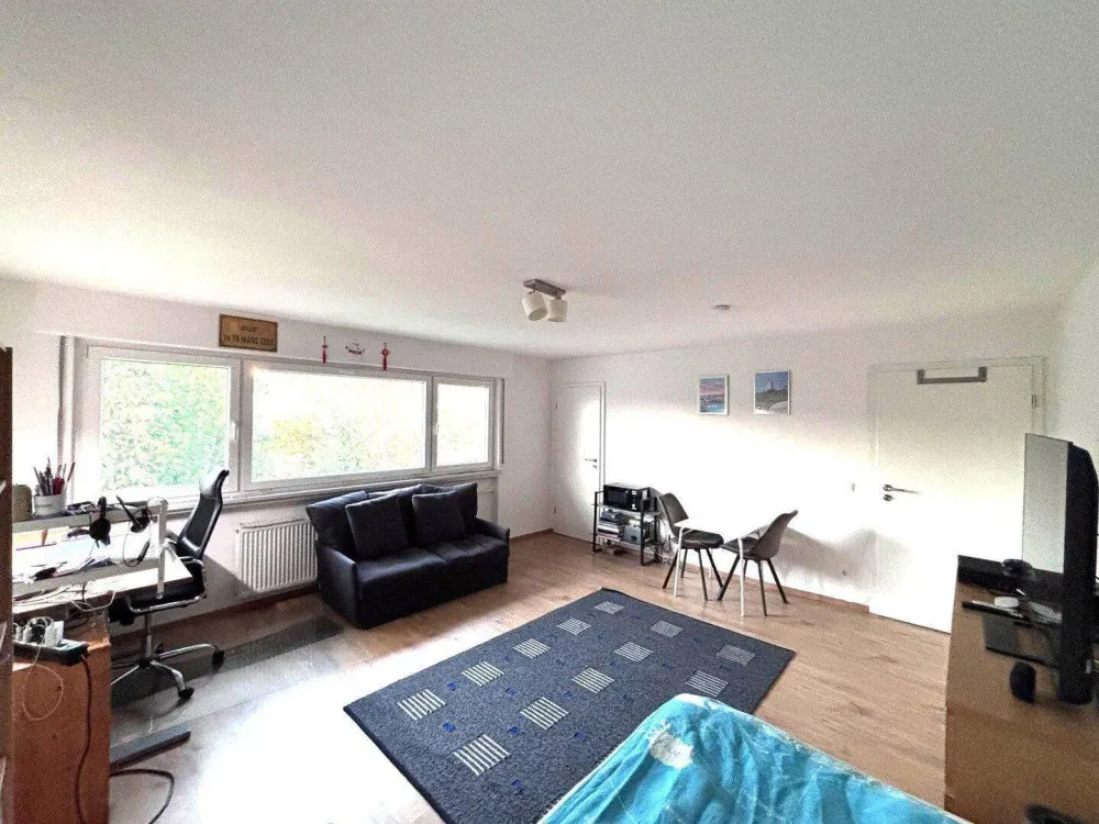 Renovierte 1-Zimmer Wohnung mit Einbauküche, Waschmaschine und Stellplatz
