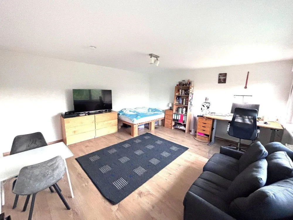 Renovierte 1-Zimmer Wohnung mit Einbauküche, Waschmaschine und Stellplatz