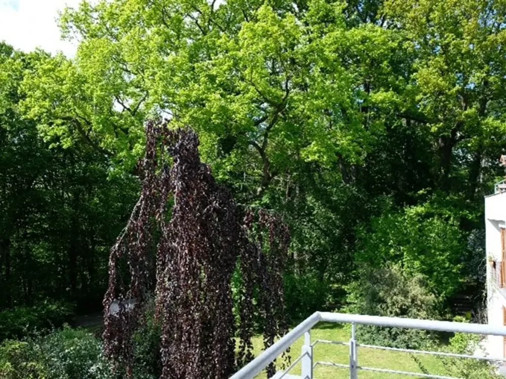 Gepflegte 3-Zimmer Maisonette-Wohnung mit Dachterrassen und Natur pur!