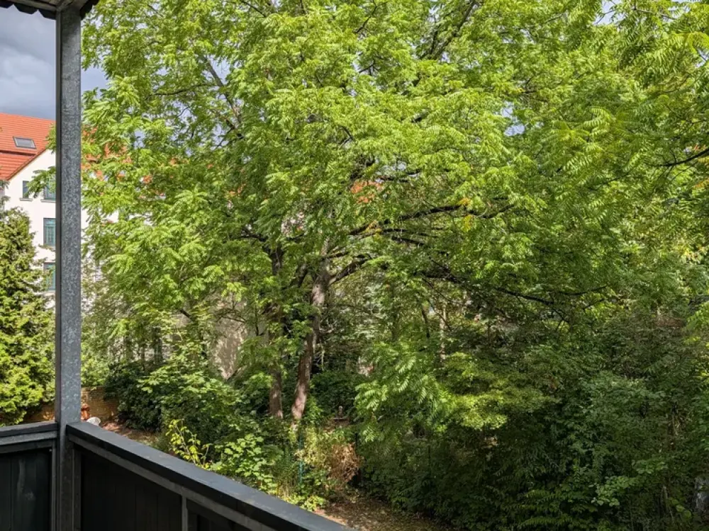 3 Zi-Wohnung + Küche mit EBK, Bad und Südbalkon