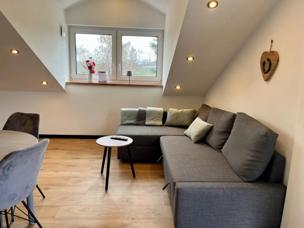 Furnished Apartment Temporary Holiday Apartment 2-Room from 01.11.26