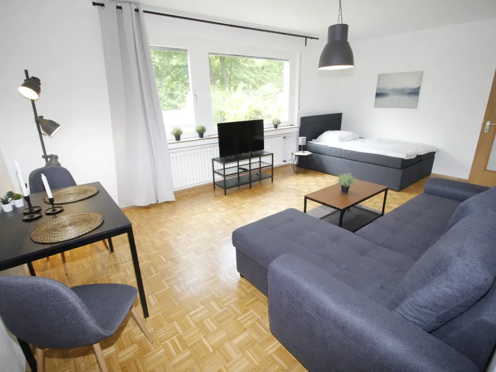 City Apartment 1-Room Furnished Apartment Including Wi-Fi, TV & Electricity