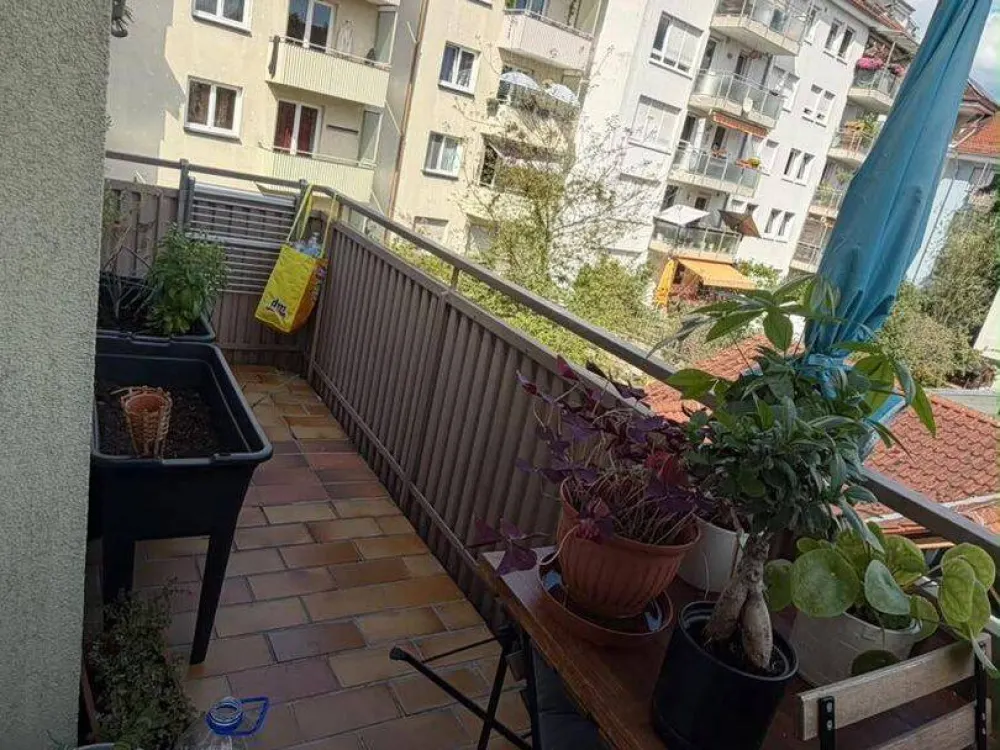 Nachmietersuche! Küchenübernahme möglich - helle 2-Zimmer-Wohnung im beliebten Wöhrd!