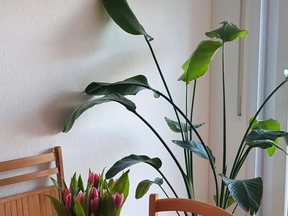 2,5-Zimmer-Wohnung im Stuttgarter Lehenviertel zur Untermiete
