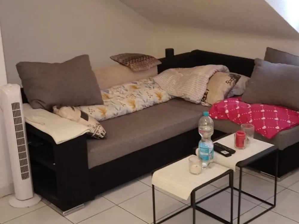Wohnung 1Zimmer Küche Diele Bad mit Dusche