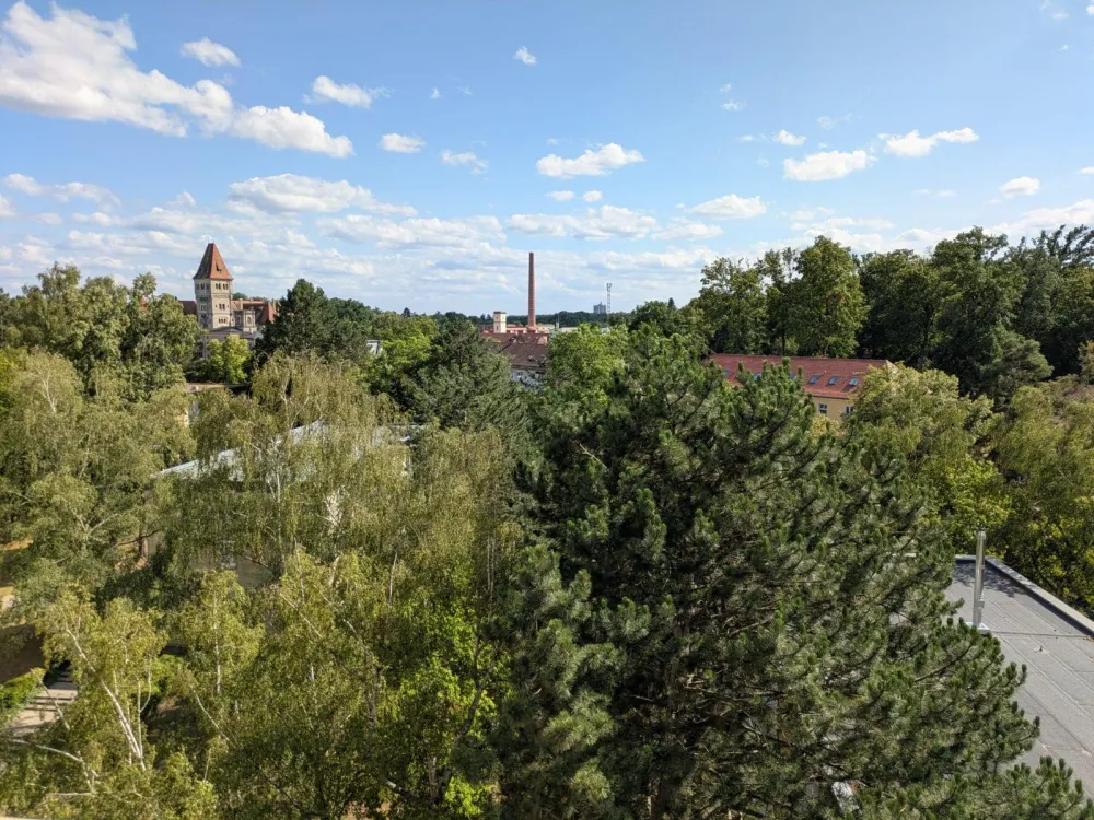 Frisch renovierte helle Wohnung im 7.OG mit Balkon & Schlossblick