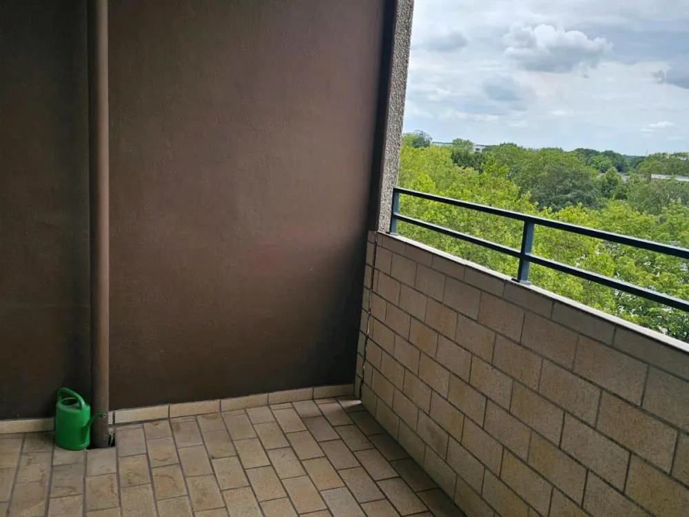 3 Zimmer Wohnung