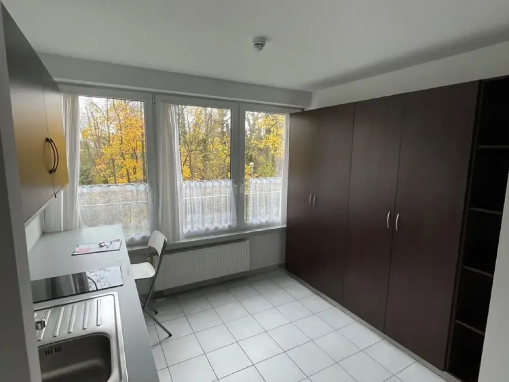Möbliertes 1-Zimmer-Apartment mit Schrankbett, kompakt & praktisch