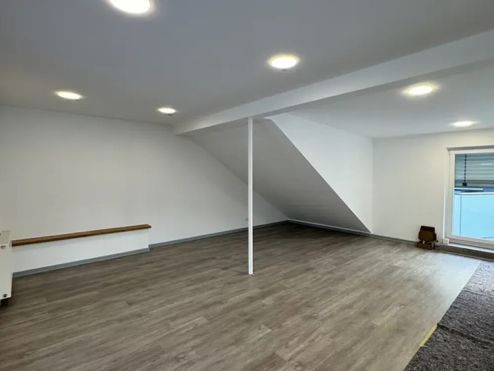 2-Room Penthouse Apartment - First Occupancy After Renovation