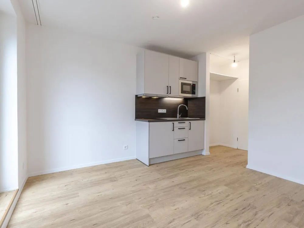 Erstbezug Kernsaniert | Helle 1-Zimmer Wohnung mit Balkon in München-Giesing