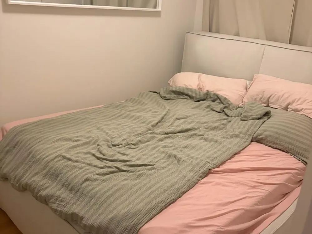 1.5 Room Apartment Altona