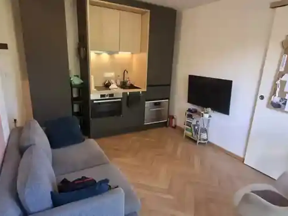 fully furnished 1.5-room apartment