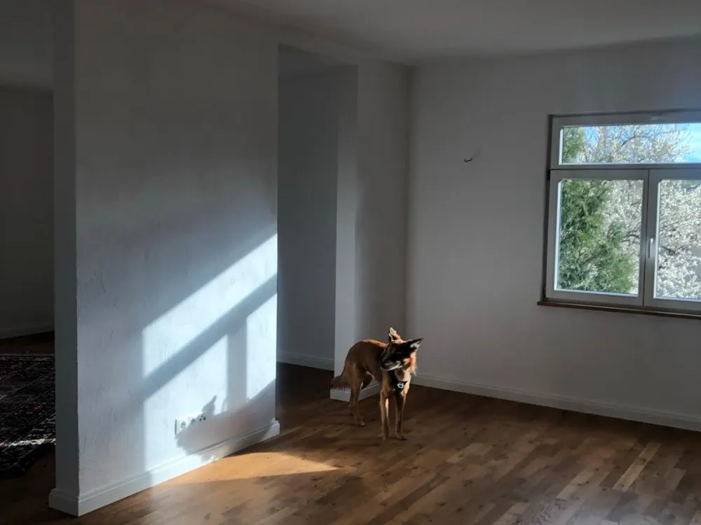 Gehobene Wohnung in saniertem Fachwerkhaus