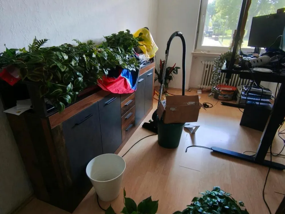 [ONLY WITH BUSINESS LICENSE] Apartment 3ZKB from 15.10.2026