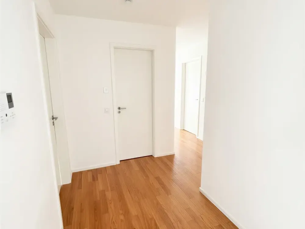 Bright and Well-Designed Apartment
