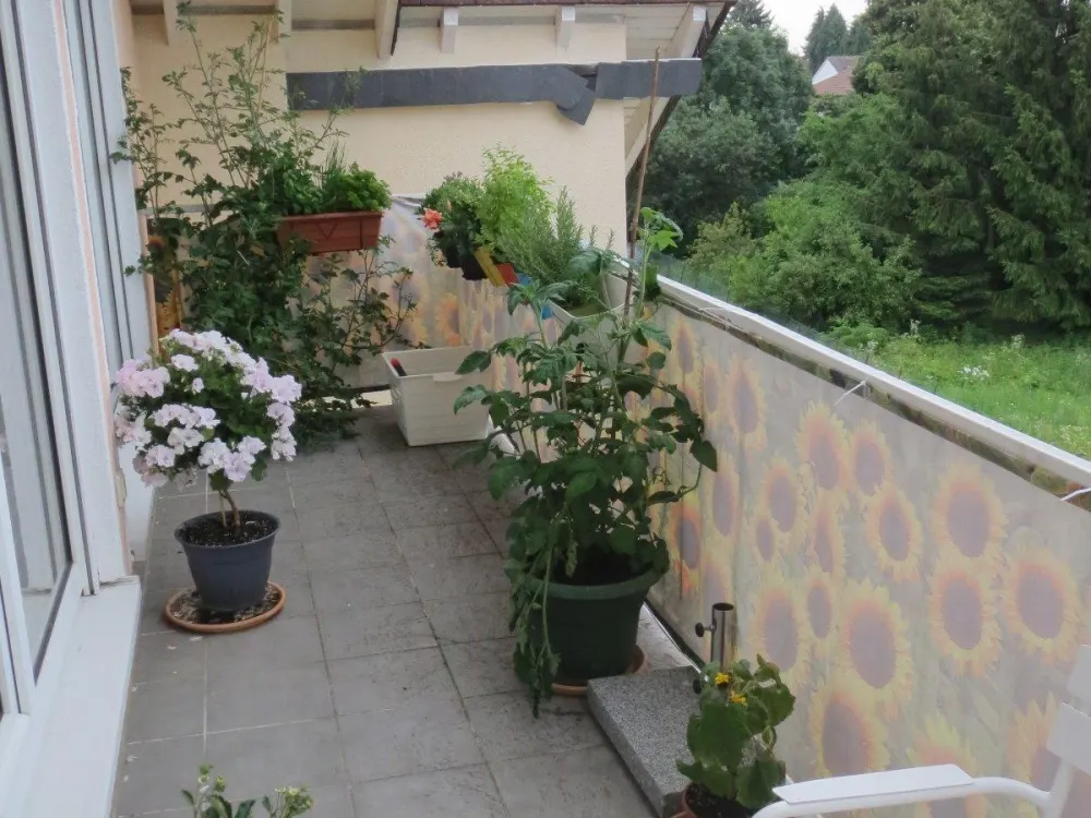 Helle, sehr großzügige 2,5-Zimmerwohnung Liederbach
