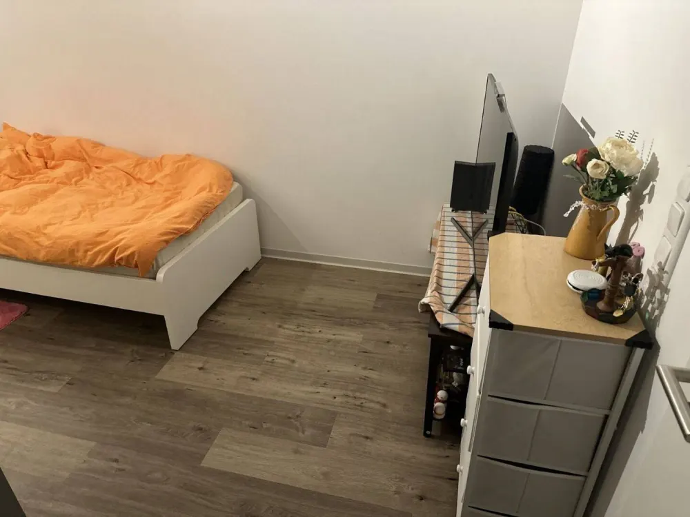 Moderne Einzimmerwohnung in Frankfurt