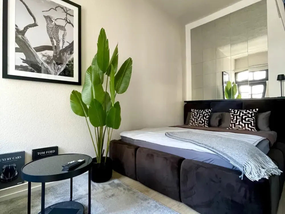 City Center. Mini Studio Apartment