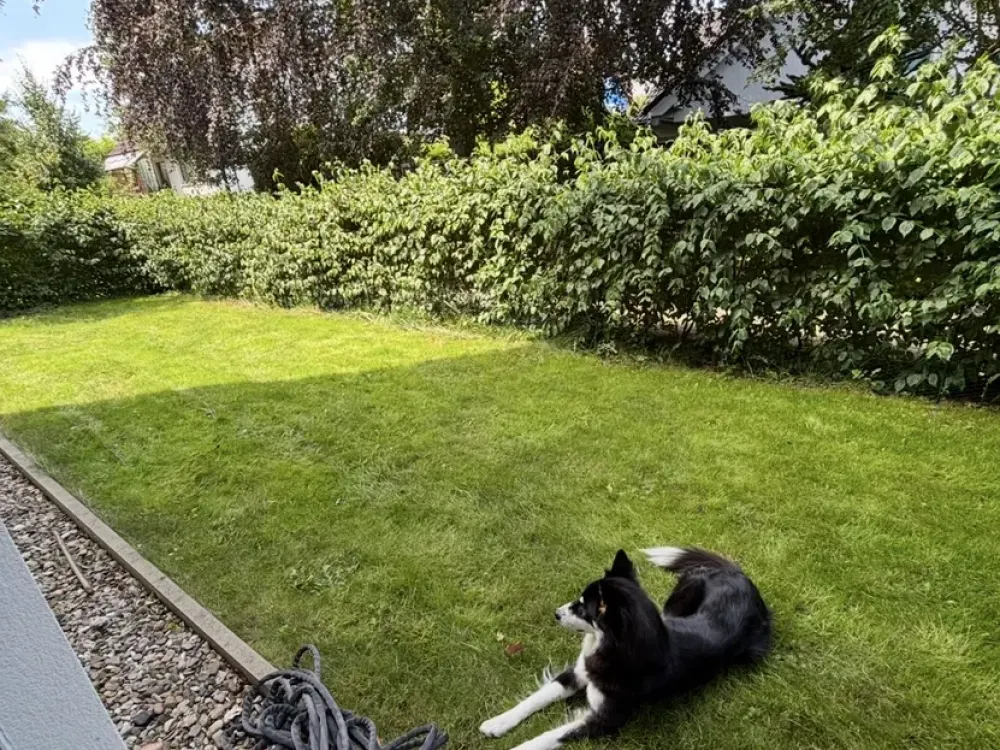 Moderne und haustierfreundliche 3-Zimmer-Gartenwohnung in Hannover-Lahe