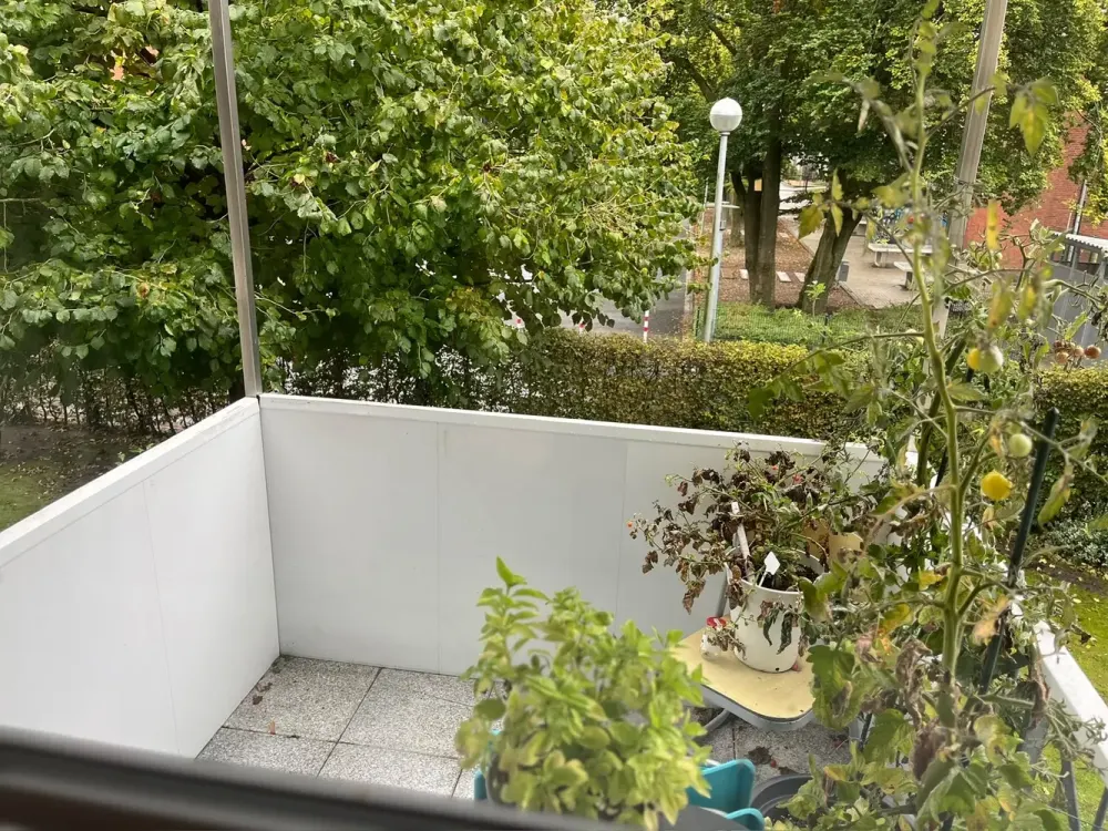 Kompaktes 1-Zimmer-Apartment: Wohnen in Greven
