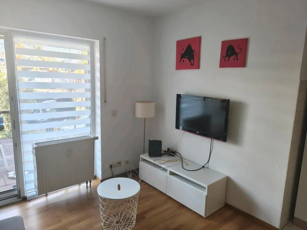 Fully Furnished 1-Room Apartment with Terrace