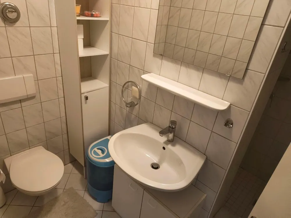 Fully Furnished 1-Room Apartment with Terrace
