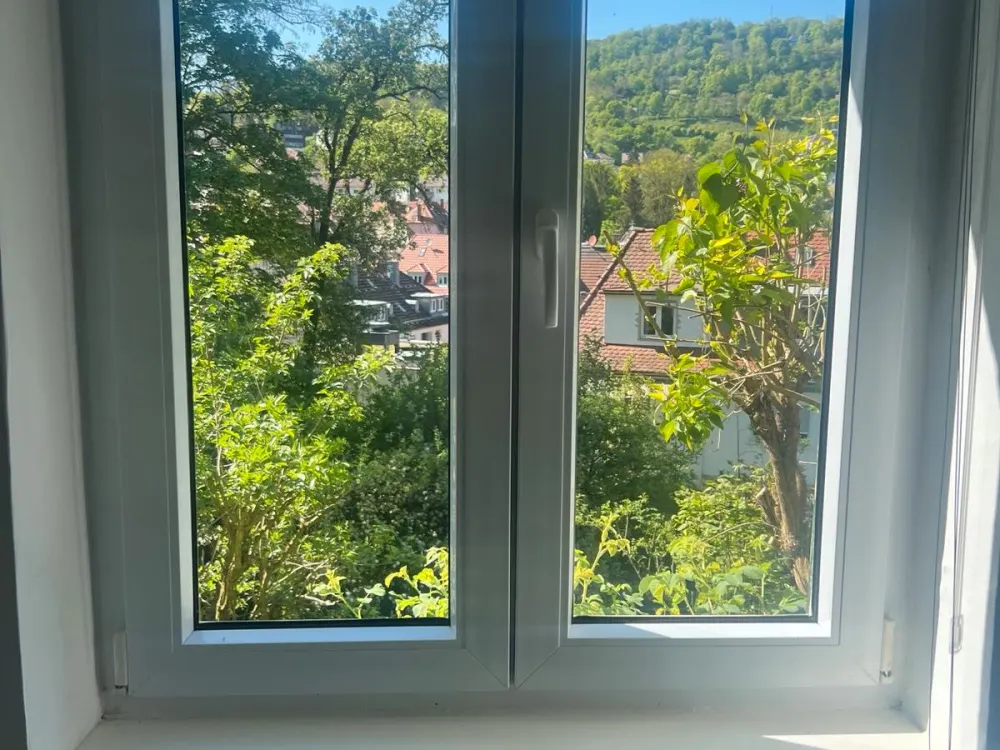 3,5 Zimmer Gartengeschoss Wohnung
