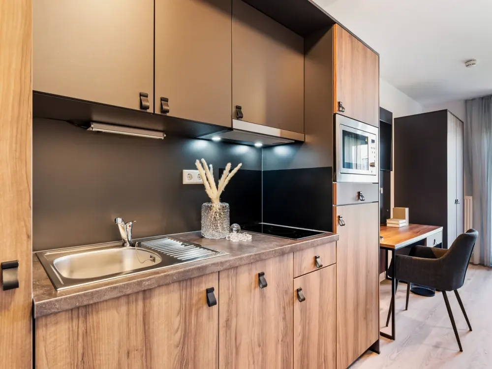 Furnished business apartment "Single-Suite XL" for two people to fall in love with !