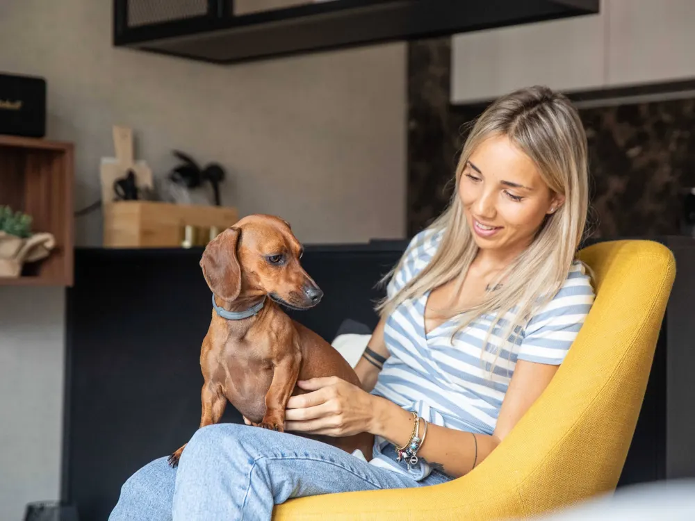 HAVENS LIVING: Kategorie Standard, 1,5 Zimmer vollmöbliertes Apartment Design TECH