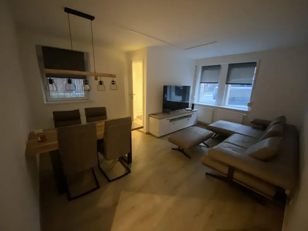 Renovated, Furnished, First Occupancy, Private Entrance, Central