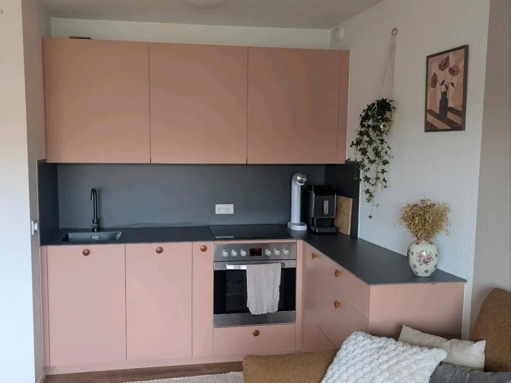 Furnished 2-Room Apartment for Rent