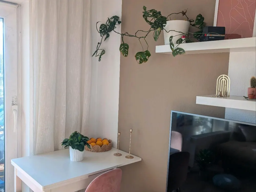 Furnished 2-Room Apartment for Rent